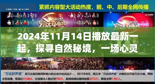 探尋自然秘境，心靈之旅啟程于2024年11月14日