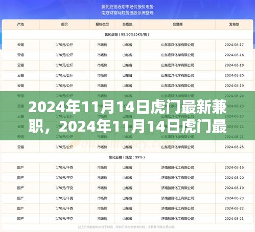 2024年11月14日虎門最新兼職，機遇與挑戰(zhàn)并存