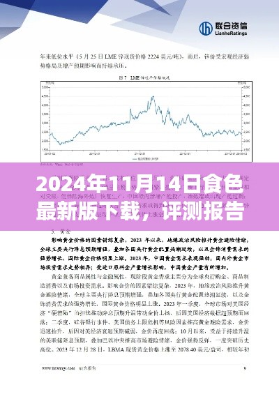 深度評測報告，2024年食色最新版下載解析