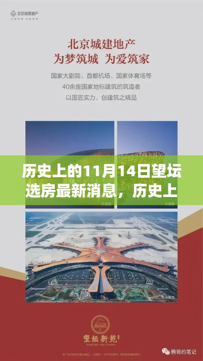 歷史上的11月14日，望壇選房新篇章開啟，變化成就奇跡之旅的最新消息