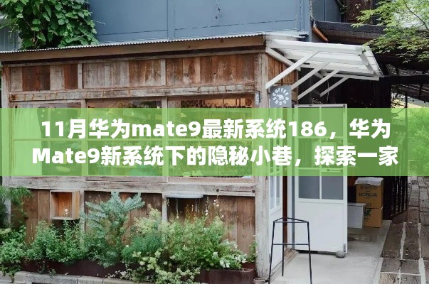 華為Mate9最新系統(tǒng)探索，隱秘小巷的特色小店