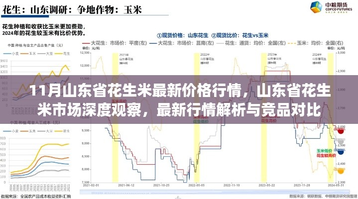 11月山東省花生米最新價格行情，山東省花生米市場深度觀察，最新行情解析與競品對比