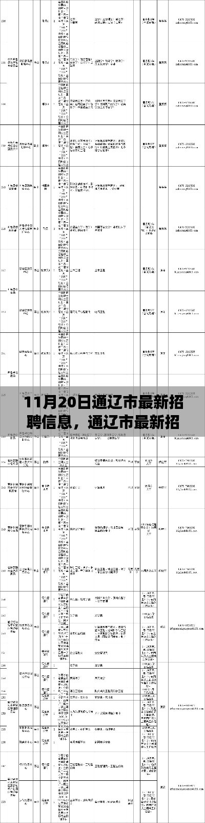 通遼市最新招聘信息概覽，職場人的福音（11月20日更新）