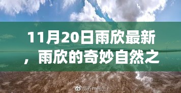 雨欣的11月20日奇妙探險，自然之旅尋找心靈寧靜與笑聲