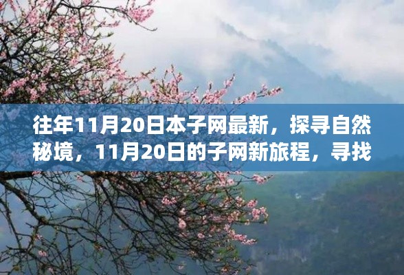 往年11月20日本子網(wǎng)最新，探尋自然秘境，11月20日的子網(wǎng)新旅程，尋找內(nèi)心的桃花源