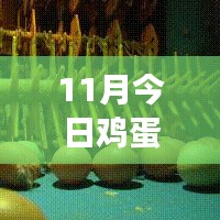 11月雞蛋價(jià)格最新行情解析，多方觀點(diǎn)交織的思考