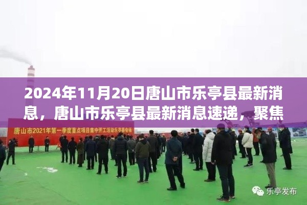 聚焦唐山市樂亭縣發(fā)展動態(tài)，最新消息速遞（2024年11月20日版）