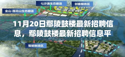 11月20日鄢陵鼓樓最新招聘信息及平臺深度評測，特性、體驗(yàn)與用戶洞察