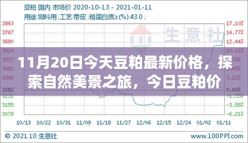 啟程尋找內(nèi)心平和，今日豆粕最新價(jià)格與自然美景之旅的寧?kù)o故事