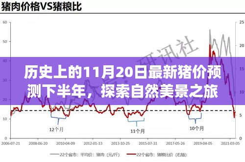 歷史上的11月20日豬價(jià)預(yù)測(cè)與心靈寧?kù)o尋覓之旅，自然美景探索