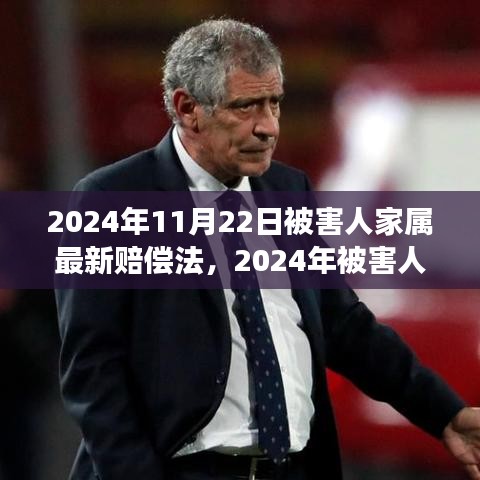 深度解讀2024年被害人家屬賠償法，背景、進展與影響