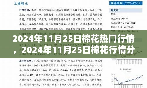 棉花行情深度解析，從入門到精通——2024年11月25日棉花行情指南