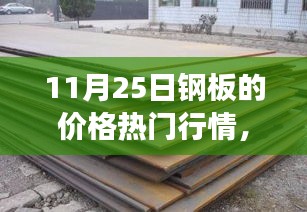 11月25日鋼板價格行情深度解析，市場波動與多方觀點透視