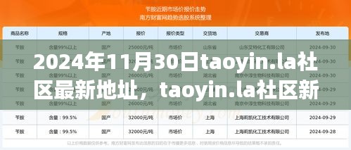 2024年11月30日taoyin.la社區(qū)新址展望，機(jī)遇與挑戰(zhàn)并存