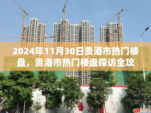 貴港市熱門樓盤探訪全攻略，購房指南（2024年11月30日）