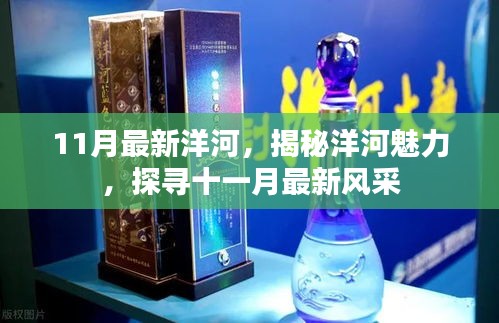 揭秘洋河魅力，十一月最新風(fēng)采展示