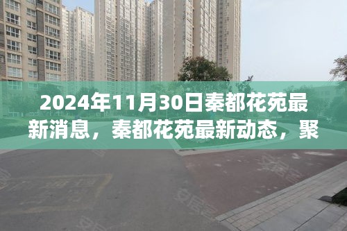 秦都花苑最新動態(tài)揭曉，2024年11月30日的最新消息與觀點爭議聚焦