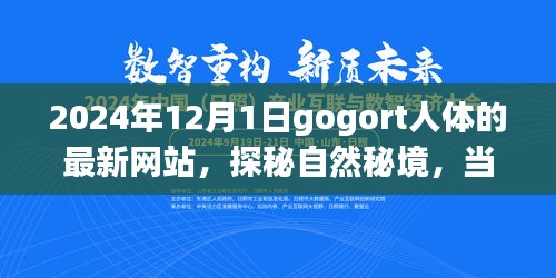 探秘gogort人體奧秘，心靈遇見奇妙旅程的秘境網(wǎng)站（最新更新）