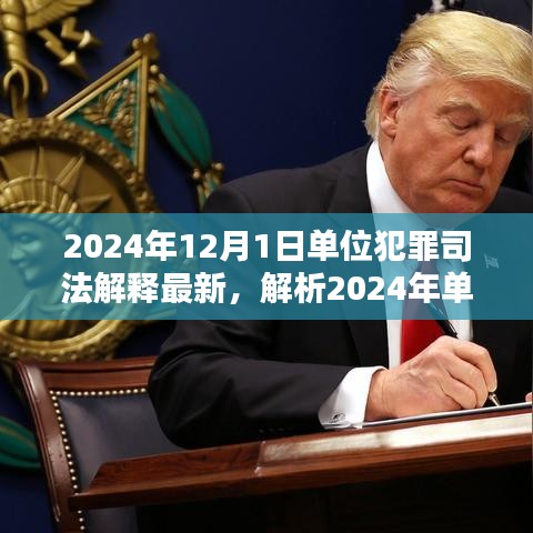 深度解析，2024年單位犯罪司法解釋最新動態(tài)及三大要點(diǎn)探討