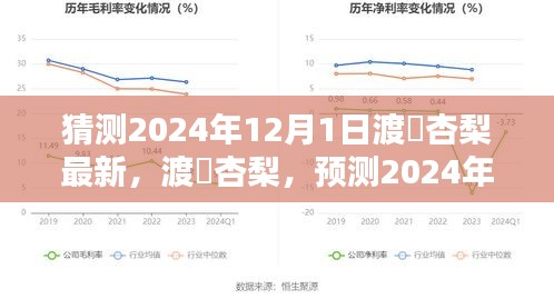 渡辺杏梨2024年12月1日全新風采預測