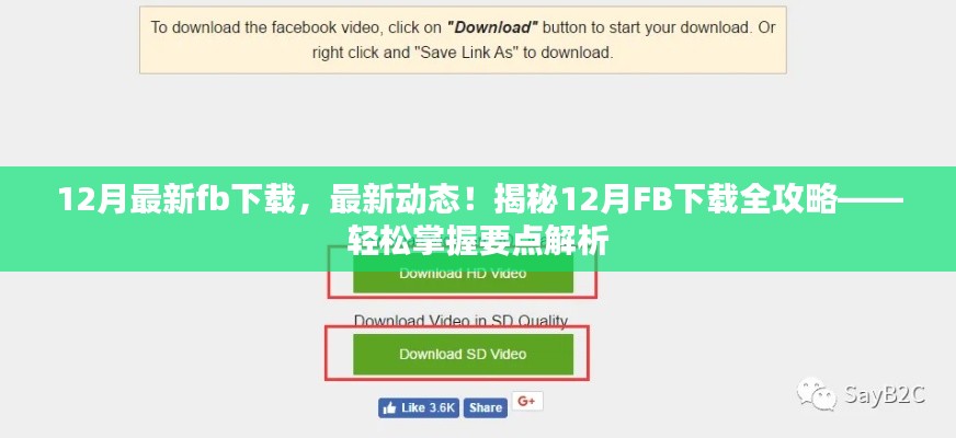 揭秘，最新動態(tài)下的FB下載全攻略，輕松掌握要點解析