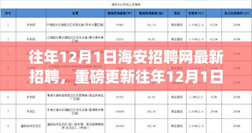 往年12月1日海安招聘網(wǎng)最新職位信息揭秘，求職者福音