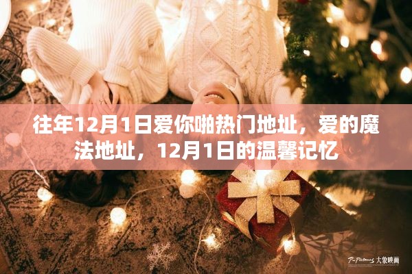 12月1日的愛的魔法與溫馨記憶