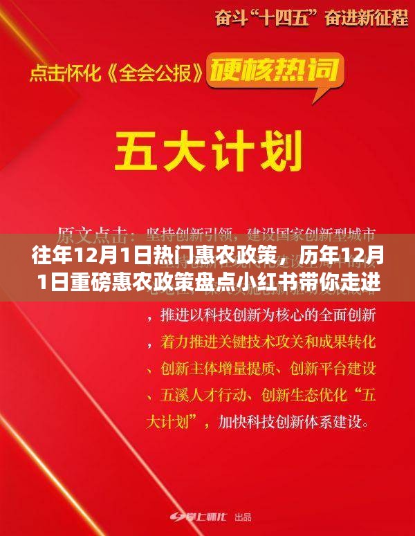 歷年12月1日惠農政策盤點，走進紅利時代的鄉(xiāng)村福利小紅書分享會