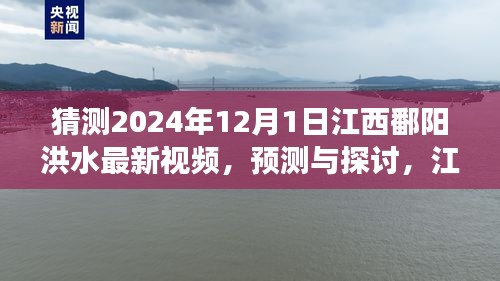 江西鄱陽湖區(qū)洪水現(xiàn)象觀察與預測，聚焦2024年12月1日的最新視頻探討