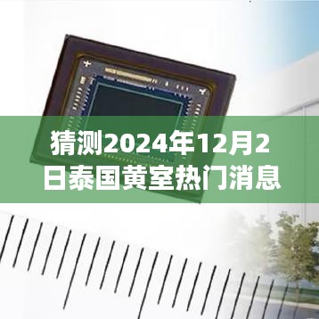 泰國黃室風云揭秘，學習變革與夢想實現(xiàn)，2024年12月2日的輝煌展望