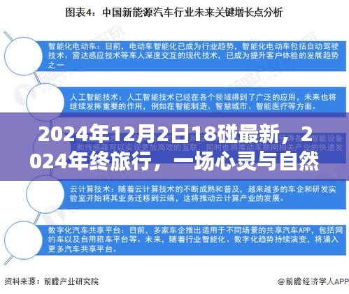 心靈與自然的碰撞，2024年終旅行記