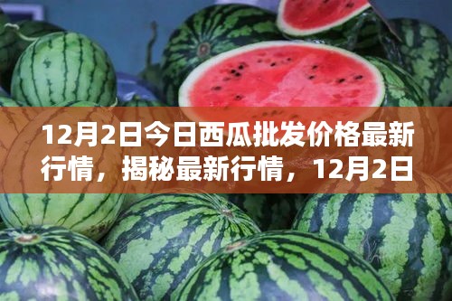 揭秘最新行情，深度解析12月2日西瓜批發(fā)價格走勢及最新行情