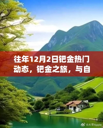 鈀金之旅，與自然美景相遇，探尋內(nèi)心寧靜的熱門動態(tài)回顧