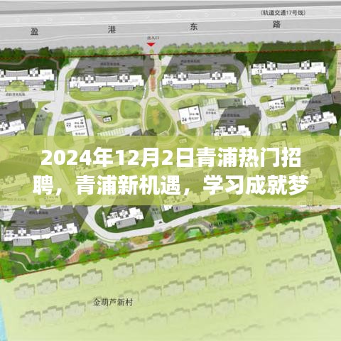 2024年12月2日青浦熱門招聘啟幕，新機遇助力學(xué)習(xí)成就夢想