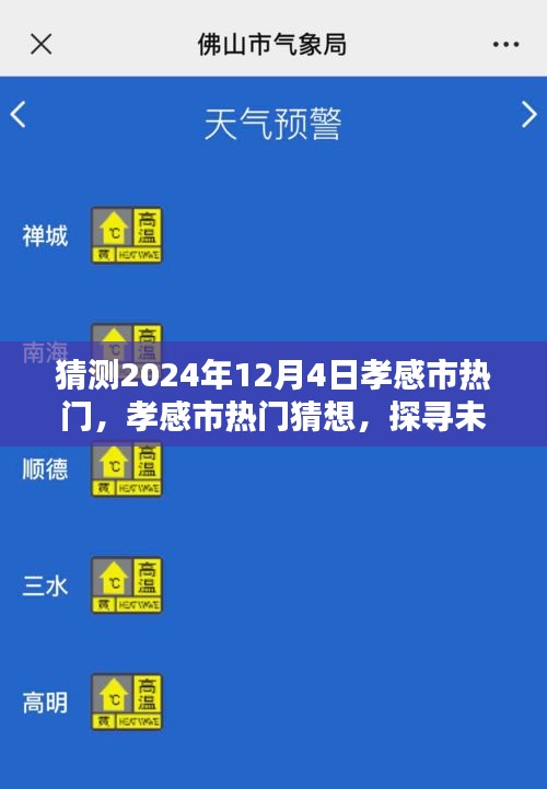 探尋孝感市未來魅力風(fēng)采，2024年12月4日熱門猜想與風(fēng)采展望