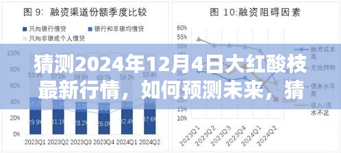 2024年預(yù)測，大紅酸枝最新行情展望與步驟指南