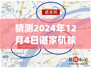 諶家磯球場最新動態(tài)展望，未來賽事猜想（2024年12月4日）