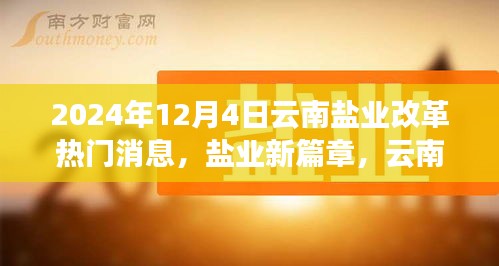 云南鹽業(yè)改革新篇章，溫情故事與行業(yè)動態(tài)揭秘（2024年12月4日）