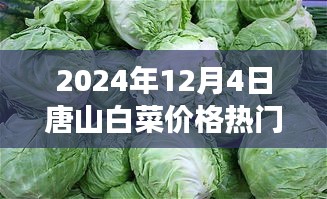 唐山白菜情緣，冬日蔬菜市場(chǎng)的溫情故事與白菜價(jià)格行情解析