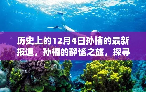 孫楠的靜謐之旅，探尋自然美景與內(nèi)心力量的歷史報道（12月4日最新）