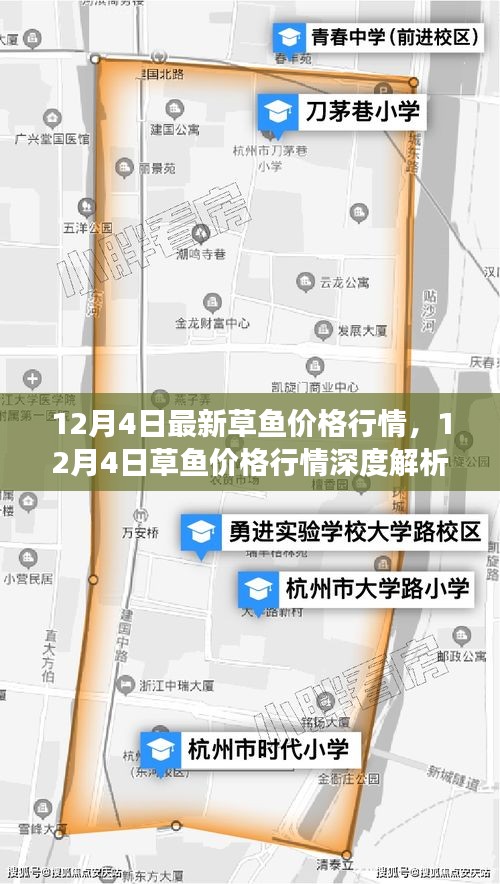 12月4日草魚價(jià)格行情解析，市場走勢、影響因素及選購指南