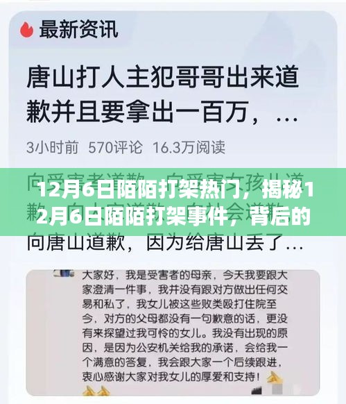 揭秘，12月6日陌陌打架事件背后的原因與影響熱議風潮