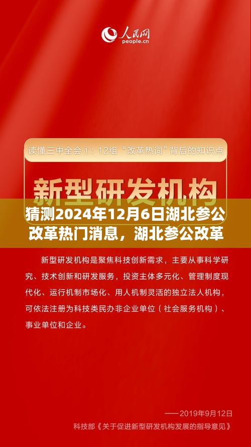 湖北參公改革展望，深度解析熱門消息，預(yù)測未來趨勢至2024年12月6日