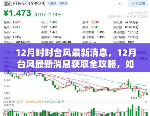 12月臺風最新消息全攻略，如何跟進動態(tài)，獲取實時信息