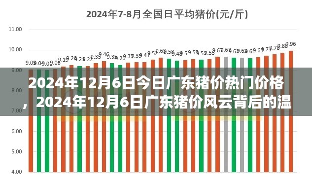 廣東豬價(jià)風(fēng)云背后的溫情故事，最新價(jià)格動(dòng)態(tài)與深度解讀