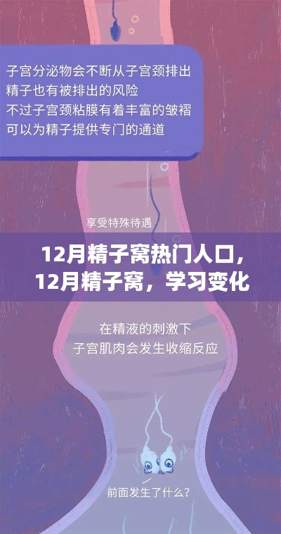 12月精子窩，學(xué)習(xí)變化與自信成就感的源泉，熱門人生的啟航地