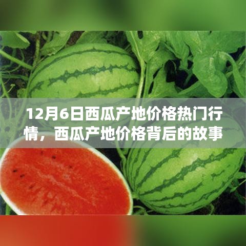 12月6日西瓜產(chǎn)地價格深度解析，變化的力量與自信的種子