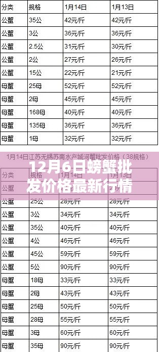 12月6日螃蟹批發(fā)價(jià)格最新行情，12月6日螃蟹批發(fā)價(jià)格最新行情詳解，入門指南與關(guān)鍵步驟