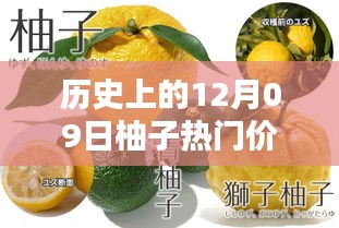 揭秘柚子歷史價(jià)格，柚子價(jià)格查詢?nèi)ヂ裕ㄟm合初學(xué)者與進(jìn)階用戶）