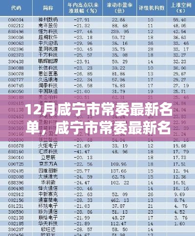 12月咸寧市常委最新名單，咸寧市常委最新名單科技新品亮相，智能時代，革新未來體驗